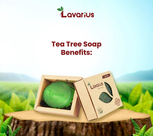 BEETOMS TEA TREE SOAP